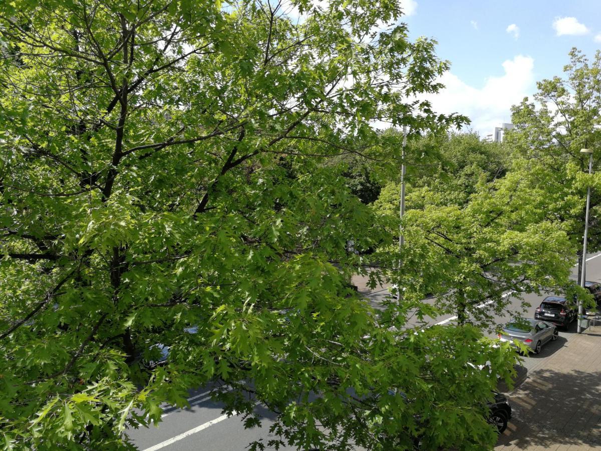 2-Zimmer Apartment Sofia, Gemuetlich Wie Zu Hause Offenbach am Main Exteriér fotografie